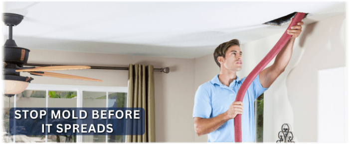 Air Duct Mold Removal in Lancaster CA